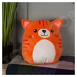 Mumbles MM800 Squidgy's ginger cat