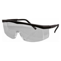 CXS Roy munkavédelmi szemüveg víztiszta - 2206-00