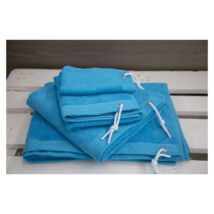 Olima OL500 Sport Towel blue