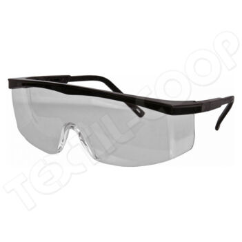 CXS Roy munkavédelmi szemüveg víztiszta - 2206-00