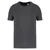 Native Spirit NS300 Legend Polo iron grey - S